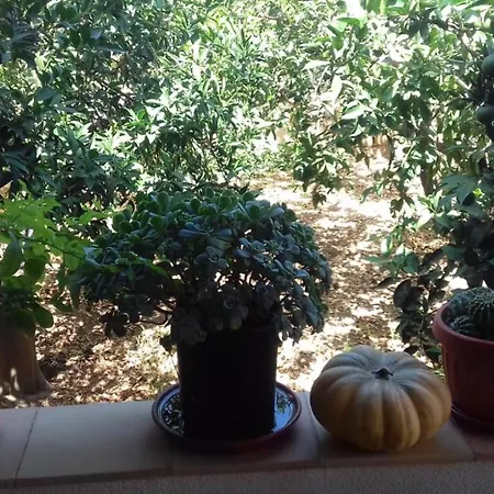 Appartement Al Profumo Di Zagare Locogrande