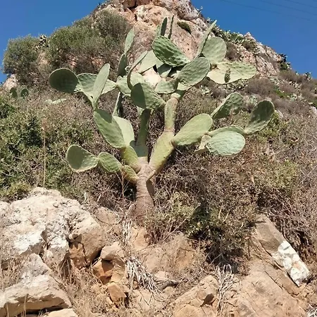 Appartement Al Profumo Di Zagare Locogrande