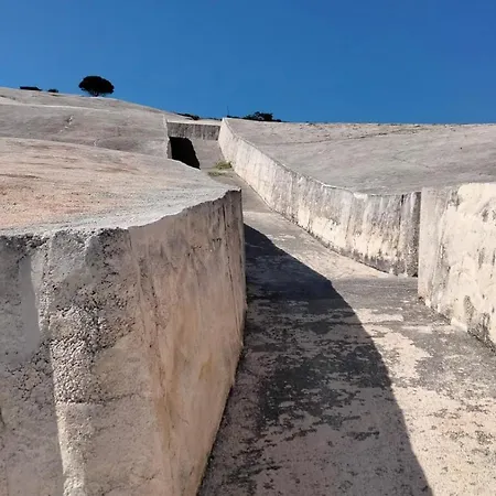 Al Profumo Di Zagare Apartamento Locogrande