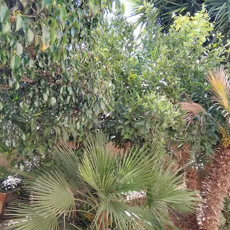 Appartement Al Profumo Di Zagare *