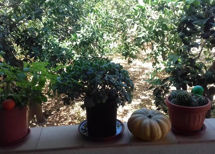 公寓 Al Profumo Di Zagare 罗戈·格兰德