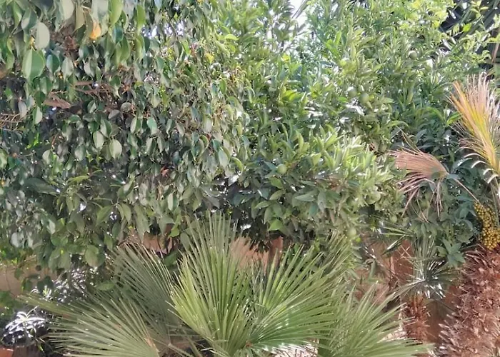 公寓 Al Profumo Di Zagare *