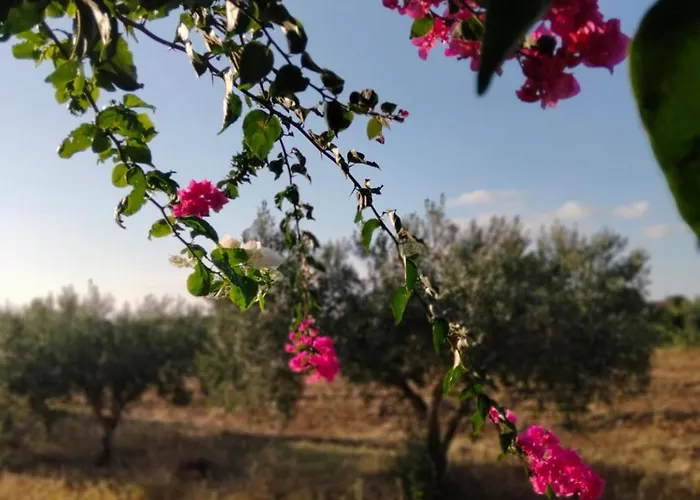 Al Profumo Di Zagare 罗戈·格兰德